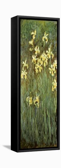 Yellow Irises-Claude Monet-Framed Stretched Canvas