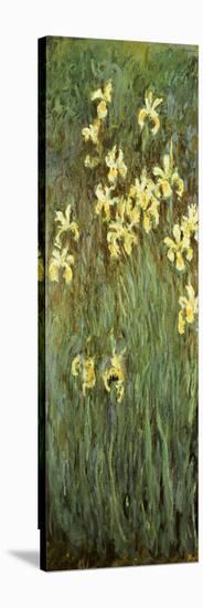 Yellow Irises-Claude Monet-Stretched Canvas