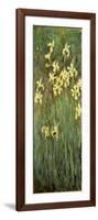 Yellow Irises-Claude Monet-Framed Giclee Print