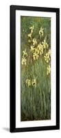 Yellow Irises-Claude Monet-Framed Giclee Print