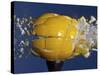 Yellow Jawbreaker Broken-Alan Sailer-Stretched Canvas