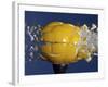 Yellow Jawbreaker Broken-Alan Sailer-Framed Photographic Print