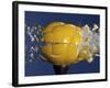 Yellow Jawbreaker Broken-Alan Sailer-Framed Photographic Print