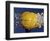 Yellow Jawbreaker Broken-Alan Sailer-Framed Photographic Print