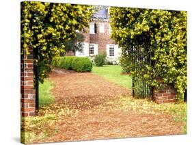 Yellow Jessamine at Gated Entry to Boone Hall Plantation, South Carolina, USA-Julie Eggers-Stretched Canvas