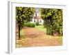 Yellow Jessamine at Gated Entry to Boone Hall Plantation, South Carolina, USA-Julie Eggers-Framed Photographic Print