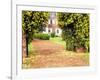 Yellow Jessamine at Gated Entry to Boone Hall Plantation, South Carolina, USA-Julie Eggers-Framed Photographic Print