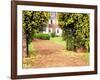 Yellow Jessamine at Gated Entry to Boone Hall Plantation, South Carolina, USA-Julie Eggers-Framed Photographic Print