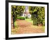 Yellow Jessamine at Gated Entry to Boone Hall Plantation, South Carolina, USA-Julie Eggers-Framed Photographic Print