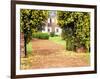 Yellow Jessamine at Gated Entry to Boone Hall Plantation, South Carolina, USA-Julie Eggers-Framed Photographic Print