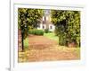 Yellow Jessamine at Gated Entry to Boone Hall Plantation, South Carolina, USA-Julie Eggers-Framed Photographic Print