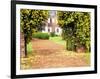 Yellow Jessamine at Gated Entry to Boone Hall Plantation, South Carolina, USA-Julie Eggers-Framed Photographic Print