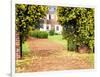 Yellow Jessamine at Gated Entry to Boone Hall Plantation, South Carolina, USA-Julie Eggers-Framed Photographic Print