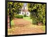 Yellow Jessamine at Gated Entry to Boone Hall Plantation, South Carolina, USA-Julie Eggers-Framed Photographic Print