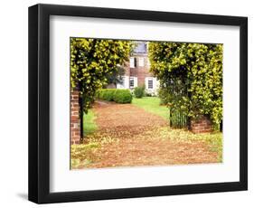 Yellow Jessamine at Gated Entry to Boone Hall Plantation, South Carolina, USA-Julie Eggers-Framed Photographic Print