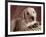 Yellow Lab Puppy in Basket-Jim Craigmyle-Framed Photographic Print