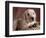 Yellow Lab Puppy in Basket-Jim Craigmyle-Framed Photographic Print