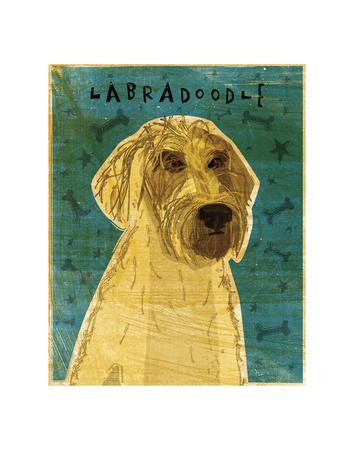 https://imgc.allpostersimages.com/img/posters/yellow-labradoodle_u-L-F5GBBH0.jpg?artPerspective=n