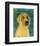 Yellow Labradoodle-John W^ Golden-Framed Art Print