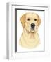 Yellow Labrador Portrait-Tomoyo Pitcher-Framed Premium Giclee Print