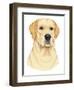 Yellow Labrador Portrait-Tomoyo Pitcher-Framed Giclee Print