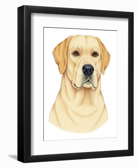 Yellow Labrador Portrait-Tomoyo Pitcher-Framed Giclee Print