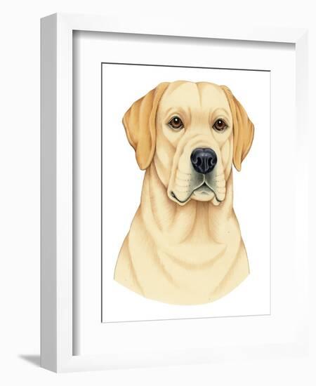 Yellow Labrador Portrait-Tomoyo Pitcher-Framed Giclee Print