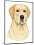 Yellow Labrador Portrait-Tomoyo Pitcher-Mounted Giclee Print