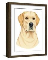 Yellow Labrador Portrait-Tomoyo Pitcher-Framed Giclee Print