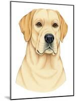 Yellow Labrador Portrait-Tomoyo Pitcher-Mounted Giclee Print