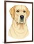 Yellow Labrador Portrait-Tomoyo Pitcher-Framed Giclee Print