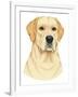 Yellow Labrador Portrait-Tomoyo Pitcher-Framed Giclee Print