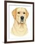 Yellow Labrador Portrait-Tomoyo Pitcher-Framed Giclee Print