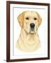 Yellow Labrador Portrait-Tomoyo Pitcher-Framed Giclee Print