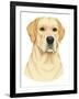 Yellow Labrador Portrait-Tomoyo Pitcher-Framed Giclee Print