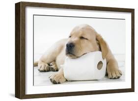 Yellow Labrador Puppy Asleep on Toilet Roll, 9 Weeks-null-Framed Photographic Print