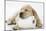 Yellow Labrador Puppy Asleep on Toilet Roll, 9 Weeks-null-Mounted Photographic Print