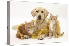 Yellow Labrador Puppy with Two Ginger Kittens with Tinsel-Mark Taylor-Stretched Canvas