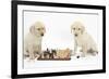 Yellow Labrador Retriever Bitch Puppies, 10 Weeks, Playing Chess-Mark Taylor-Framed Photographic Print