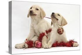 Yellow Labrador Retriever Bitch Puppies, 10 Weeks, Playing with Christmas Decorations-Mark Taylor-Stretched Canvas