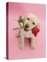 Yellow Labrador Retriever Bitch Puppy, 10 Weeks, Holding a Red Rose and Looking Up-Mark Taylor-Stretched Canvas