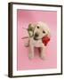 Yellow Labrador Retriever Bitch Puppy, 10 Weeks, Holding a Red Rose and Looking Up-Mark Taylor-Framed Photographic Print