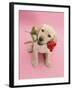 Yellow Labrador Retriever Bitch Puppy, 10 Weeks, Holding a Red Rose and Looking Up-Mark Taylor-Framed Photographic Print