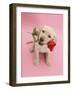 Yellow Labrador Retriever Bitch Puppy, 10 Weeks, Holding a Red Rose and Looking Up-Mark Taylor-Framed Photographic Print