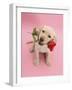 Yellow Labrador Retriever Bitch Puppy, 10 Weeks, Holding a Red Rose and Looking Up-Mark Taylor-Framed Photographic Print
