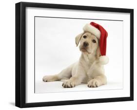 Yellow Labrador Retriever Bitch Puppy, 10 Weeks, Wearing a Father Christmas Hat-Mark Taylor-Framed Photographic Print