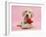 Yellow Labrador Retriever Bitch Puppy, 10 Weeks, with a Red Rose-Mark Taylor-Framed Photographic Print