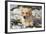 Yellow Labrador Retriever Pup Lying in Seaweed Wrack and Stones on Rocky Beach-Lynn M^ Stone-Framed Photographic Print