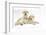 Yellow Labrador Retriever Puppies, 9 Weeks-Mark Taylor-Framed Photographic Print