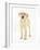 Yellow Labrador Retriever Puppy, 5 Months, Standing-Mark Taylor-Framed Photographic Print